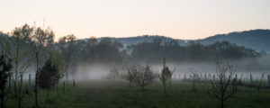 Eisheiligen Nebel