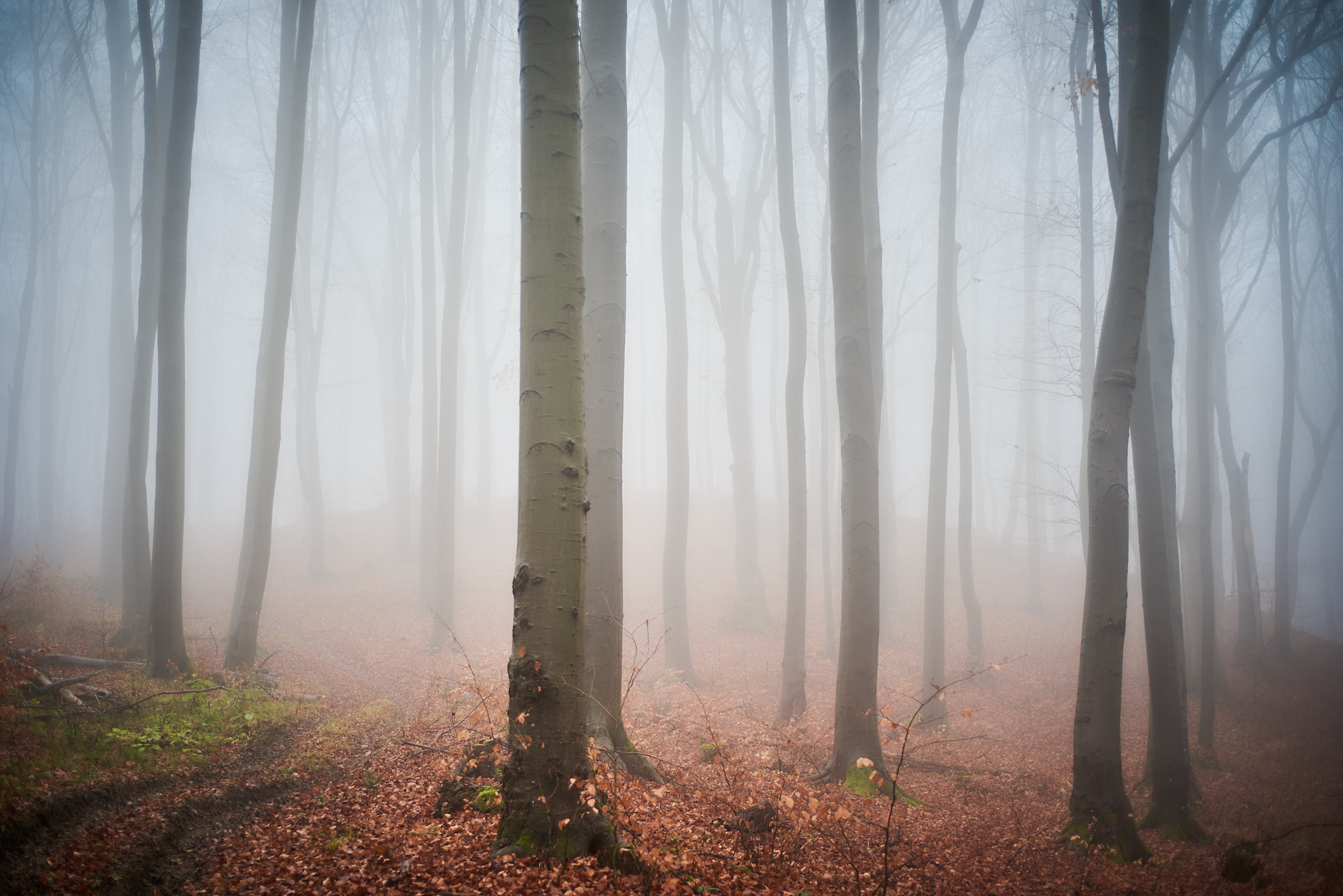 unsere Natur